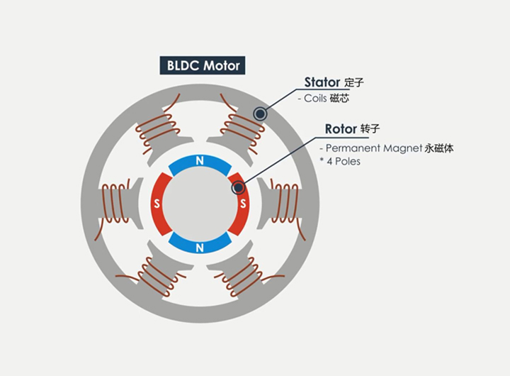 定子是通电的线圈，转子是永磁铁